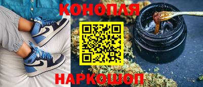 индика Краснознаменск