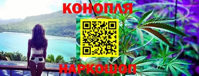 индика Краснознаменск