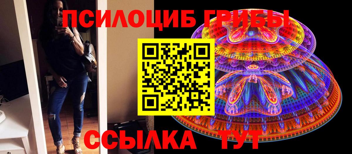 где найти наркотики  Псилоцибиновые грибы Psilocybe  Вход с VPN  Камышин  Галлюциногенные грибы Psilocybe 