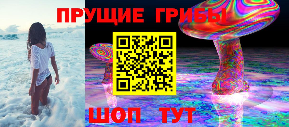 Галлюциногенные грибы Psilocybe Камышин